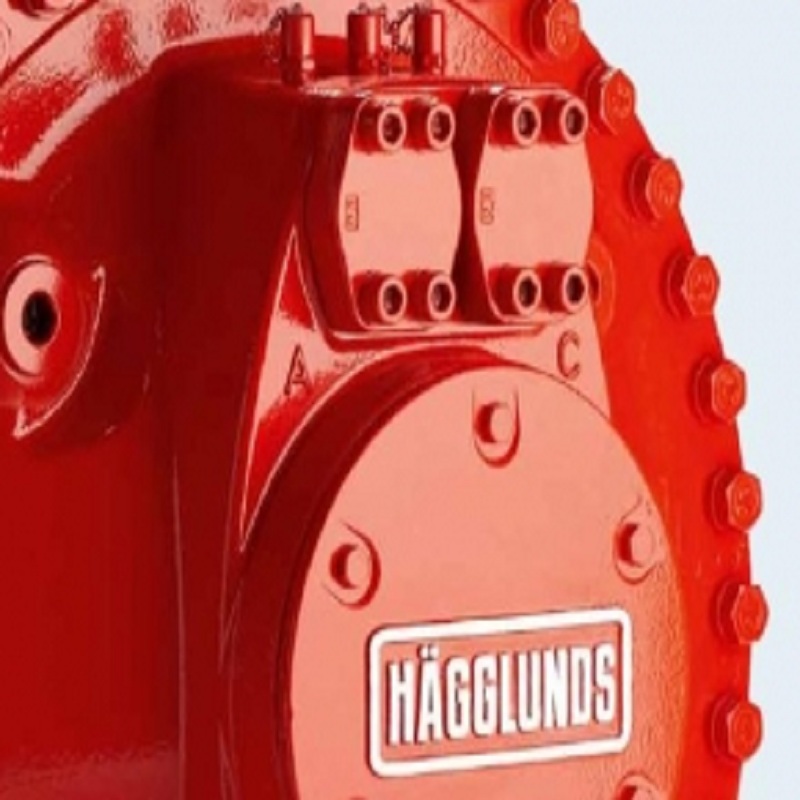 Hagglunds 止回阀